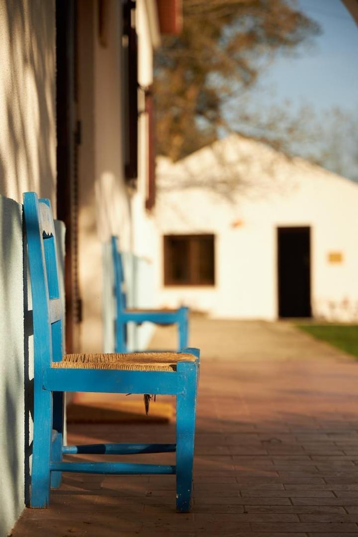サンティアゴ・ド・カセーン Quinta Do Marmeleiro - Casa Marmeleiroヴィラ エクステリア 写真