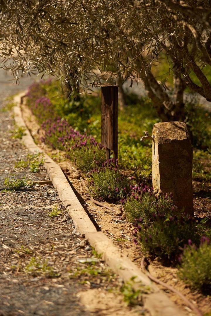 サンティアゴ・ド・カセーン Quinta Do Marmeleiro - Casa Marmeleiroヴィラ エクステリア 写真