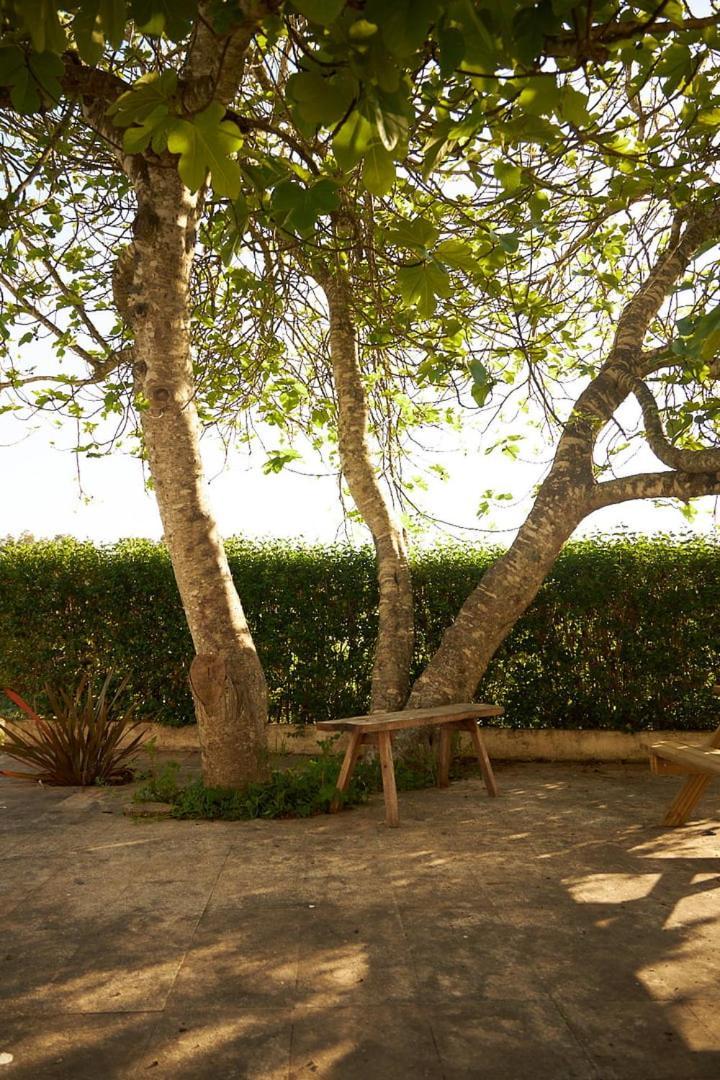 サンティアゴ・ド・カセーン Quinta Do Marmeleiro - Casa Marmeleiroヴィラ エクステリア 写真