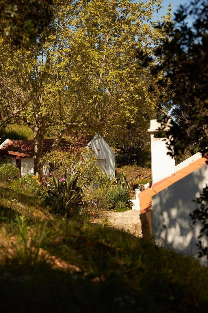 サンティアゴ・ド・カセーン Quinta Do Marmeleiro - Casa Marmeleiroヴィラ エクステリア 写真