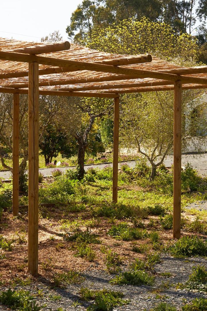 サンティアゴ・ド・カセーン Quinta Do Marmeleiro - Casa Marmeleiroヴィラ エクステリア 写真
