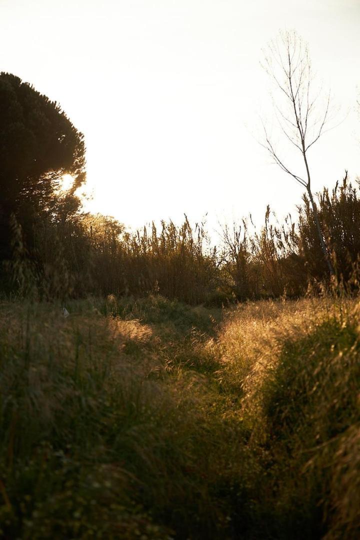 サンティアゴ・ド・カセーン Quinta Do Marmeleiro - Casa Marmeleiroヴィラ エクステリア 写真