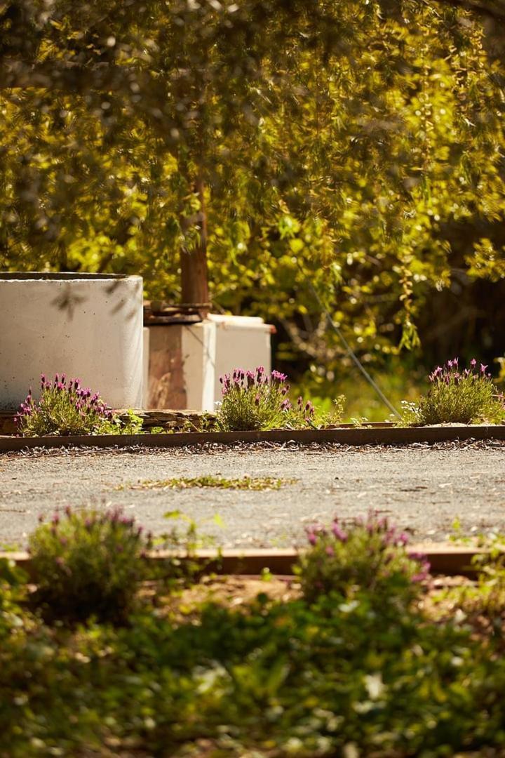 サンティアゴ・ド・カセーン Quinta Do Marmeleiro - Casa Marmeleiroヴィラ エクステリア 写真