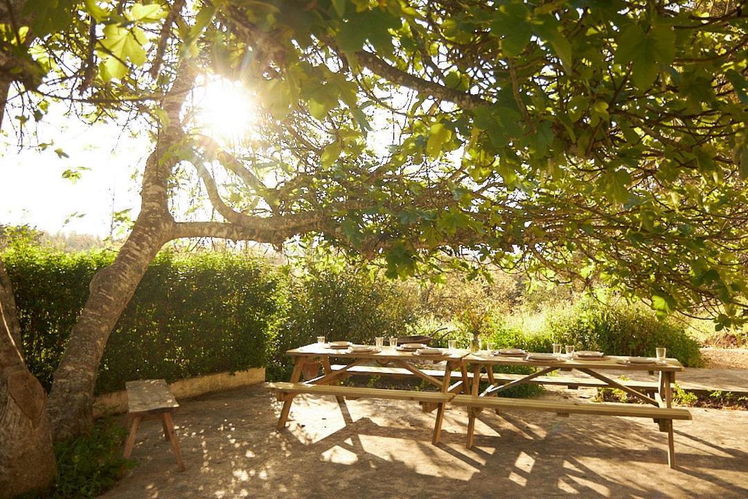 サンティアゴ・ド・カセーン Quinta Do Marmeleiro - Casa Marmeleiroヴィラ エクステリア 写真